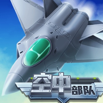 空中部队