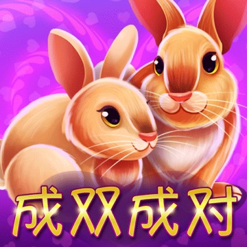 成双成对