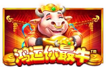 鸿运你最牛