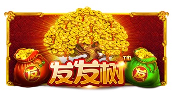 发发树