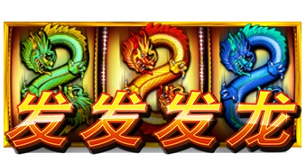 发发发龙