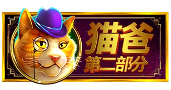 猫爸第二部分