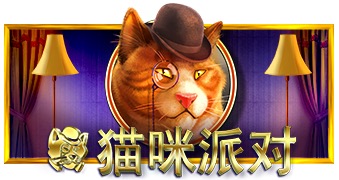 猫咪派对