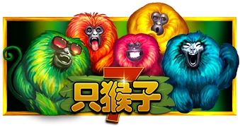 7只猴子
